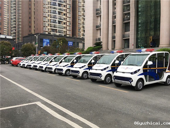 重庆南岸区人民政府交车现场--5座标准电动巡逻车