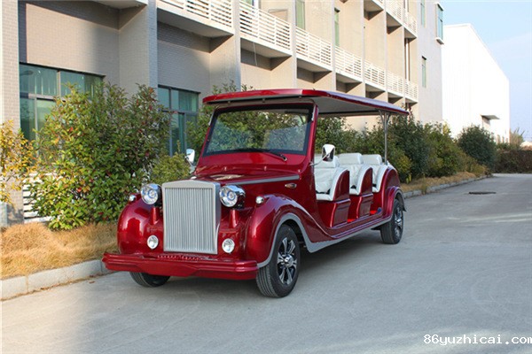 12FD夏丽红银边 (4)_副本_副本.jpg