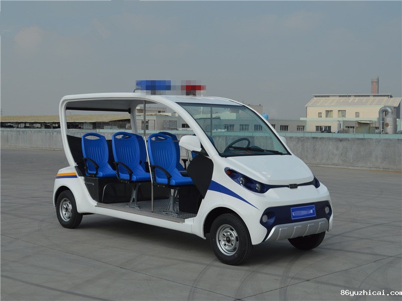 6座电动巡逻车